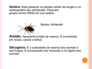 Quitina: Está presente na parede celular de fungos e no
exoesqueleto dos artrópodes. Possuem
grupos amina (NH2) em sua cadeia.
Barata, Artrópode.
Amido: Apresenta função de reserva. É encontrado
em raízes, caules e folhas.
Glicogênio: É o carboidrato de reserva dos animais e
dos fungos. É armazenado nos músculos e no fígado dos
animais.
 
