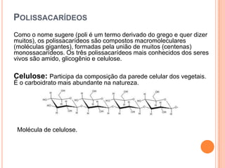 POLISSACARÍDEOS
Como o nome sugere (poli é um termo derivado do grego e quer dizer
muitos), os polissacarídeos são compostos macromoleculares
(moléculas gigantes), formadas pela união de muitos (centenas)
monossacarídeos. Os três polissacarídeos mais conhecidos dos seres
vivos são amido, glicogênio e celulose.
Celulose: Participa da composição da parede celular dos vegetais.
É o carboidrato mais abundante na natureza.
Molécula de celulose.
 