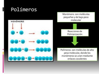 Polímeros
Monómero: son moléculas
pequeñas y de bajo peso
molecular
Polímeros: son moléculas de alto
peso molecular, donde los
monómeros se unen mediante
enlaces covalentes
Reacciones de
Polimerización
 