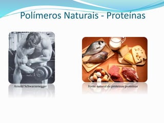 Polímeros Naturais - Proteínas
Arnold Schwarzenegger Fonte natural de proteínas proteínas
 
