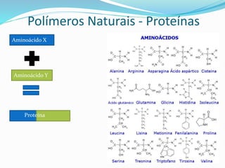 Polímeros Naturais - Proteínas
Aminoácido X
Aminoácido Y
Proteína
 