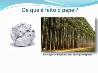 De que é feito o papel?
Plantação de Eucalipto para produção de papel
 