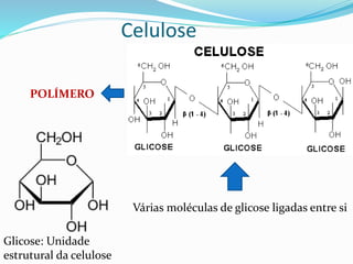 Celulose
Várias moléculas de glicose ligadas entre si
POLÍMERO
Glicose: Unidade
estrutural da celulose
 