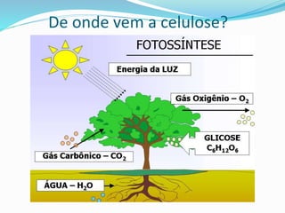 De onde vem a celulose?
 