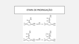 ETAPA DE PROPAGAÇÃO
 