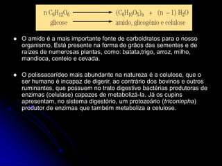  O amido é a mais importante fonte de carboidratos para o nosso
organismo. Está presente na forma de grãos das sementes e de
raízes de numerosas plantas, como: batata,trigo, arroz, milho,
mandioca, centeio e cevada.
 O polissacarídeo mais abundante na natureza é a celulose, que o
ser humano é incapaz de digerir, ao contrário dos bovinos e outros
ruminantes, que possuem no trato digestivo bactérias produtoras de
enzimas (celulase) capazes de metabolizá-la. Já os cupins
apresentam, no sistema digestório, um protozoário (triconinpha)
produtor de enzimas que também metaboliza a celulose.
 