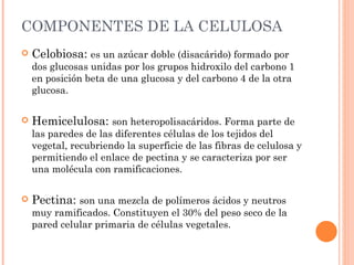 COMPONENTES DE LA CELULOSA
   Celobiosa: es un azúcar doble (disacárido) formado por
    dos glucosas unidas por los grupos hidroxilo del carbono 1
    en posición beta de una glucosa y del carbono 4 de la otra
    glucosa.


   Hemicelulosa: son heteropolisacáridos. Forma parte de
    las paredes de las diferentes células de los tejidos del
    vegetal, recubriendo la superficie de las fibras de celulosa y
    permitiendo el enlace de pectina y se caracteriza por ser
    una molécula con ramificaciones.


   Pectina: son una mezcla de polímeros ácidos y neutros
    muy ramificados. Constituyen el 30% del peso seco de la
    pared celular primaria de células vegetales.
 