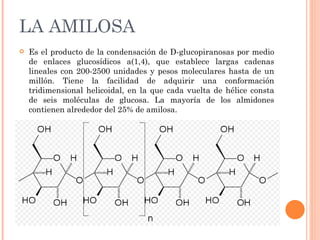LA AMILOSA
   Es el producto de la condensación de D-glucopiranosas por medio
    de enlaces glucosídicos a(1,4), que establece largas cadenas
    lineales con 200-2500 unidades y pesos moleculares hasta de un
    millón. Tiene la facilidad de adquirir una conformación
    tridimensional helicoidal, en la que cada vuelta de hélice consta
    de seis moléculas de glucosa. La mayoría de los almidones
    contienen alrededor del 25% de amilosa.
 