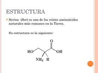 ESTRUCTURA
   Serina (Ser) es uno de los veinte aminoácidos
    naturales más comunes en la Tierra.

    Su estructura es la siguiente:
 