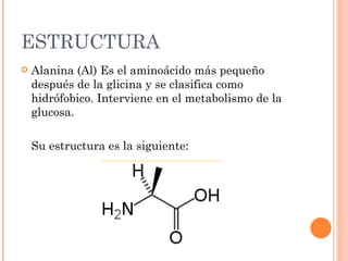 ESTRUCTURA
   Alanina (Al) Es el aminoácido más pequeño
    después de la glicina y se clasifica como
    hidrófobico. Interviene en el metabolismo de la
    glucosa.

    Su estructura es la siguiente:
 