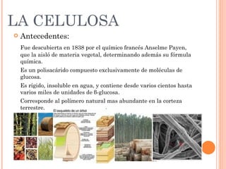 LA CELULOSA
   Antecedentes:
    Fue descubierta en 1838 por el químico francés Anselme Payen,
    que la aisló de materia vegetal, determinando además su fórmula
    química.
    Es un polisacárido compuesto exclusivamente de moléculas de
    glucosa.
    Es rígido, insoluble en agua, y contiene desde varios cientos hasta
    varios miles de unidades de β-glucosa.
    Corresponde al polímero natural mas abundante en la corteza
    terrestre.
 