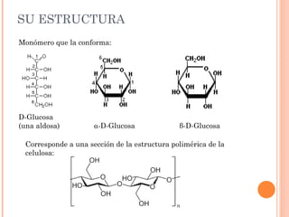 SU ESTRUCTURA
Monómero que la conforma:




D-Glucosa
(una aldosa)         α-D-Glucosa              β-D-Glucosa

 Corresponde a una sección de la estructura polimérica de la
 celulosa:
 