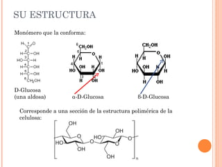 SU ESTRUCTURA
Monómero que la conforma:




D-Glucosa
(una aldosa)         α-D-Glucosa              β-D-Glucosa

 Corresponde a una sección de la estructura polimérica de la
 celulosa:
 