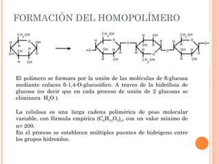 FORMACIÓN DEL HOMOPOLÍMERO




El polímero se formara por la unión de las moléculas de β-glucosa
mediante enlaces β-1,4-O-glucosídico. A traves de la hidrólisis de
glucosa (es decir que en cada proceso de unión de 2 glucosas se
eliminara H2O ).

La celulosa es una larga cadena polimérica de peso molecular
variable, con fórmula empírica (C6H10O5)n, con un valor mínimo de
n= 200.
En el proceso se establecen múltiples puentes de hidrógeno entre
los grupos hidroxilos.
 