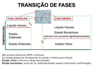 TRANSIÇÃO DE FASES

 