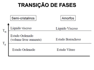 TRANSIÇÃO DE FASES

 