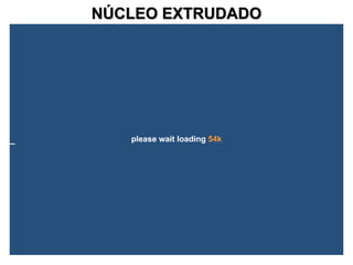 NÚCLEO EXTRUDADO

 