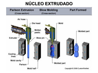 NÚCLEO EXTRUDADO

 