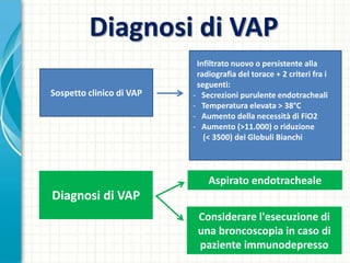 Diagnosi di VAP
Sospetto clinico di VAP

Infiltrato nuovo o persistente alla
radiografia del torace + 2 criteri fra i
seguenti:
- Secrezioni purulente endotracheali
- Temperatura elevata > 38°C
- Aumento della necessità di FiO2
- Aumento (>11.000) o riduzione
(< 3500) dei Globuli Bianchi

Aspirato endotracheale

Diagnosi di VAP
Considerare l'esecuzione di
una broncoscopia in caso di
paziente immunodepresso

 