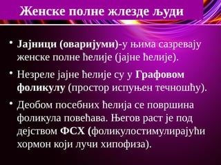 Женске полне жлезде људи

Јајници (оваријуми)-у њима сазревају
женске полне ћелије (јајне ћелије).

Незреле јајне ћелије су у Графовом
фоликулу (простор испуњен течношћу).

Деобом посебних ћелија се површина
фоликула повећава. Његов раст је под
дејством ФСХ (фоликулостимулирајући
хормон који лучи хипофиза).
 