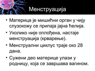 Менструација
• Материца је мишићни орган у чију
слузокожу се припаја јајна ћелија.
• Уколико није оплођена, настаје
менструација (крварење).
• Менструални циклус траје око 28
дана.
• Сужени део материце улази у
родницу, која се завршава вагином.
 