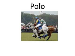 Polo
 