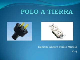 Dahiana Andrea Pinillo Murillo
                         10-4
 