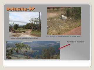 BBoottuuccaattuu--SSPP 
AAcceessssoo aa CCuueessttaa ppeelloo bbaaiirrrroo JJaarrddiimm BBrraassiill.. 
LLiixxoo aaoo lloonnggoo ddaa EEssttrraaddaa ddee aacceessssoo aaoo JJaarrddiimm BBrraassiill 
PPllaannttaaççããoo ddee EEuuccaalliippttooss 
 