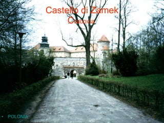Castello di Zamek C racovia   POLONIA  