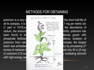 METHODS FOR OBTAINING
14
polonium is a very rare element in nature because of the short half-life of
all its isotopes. it is found in uranium ores at about 0.1 mg per metric ton
(1 part in 1010),which is approximately 0.2% of the abundance of
radium. the amounts in the earth's crust are not harmful. polonium has
been found in tobacco smoke from tobacco leaves grown with
phosphate fertilizers.because of the small abundance, isolation of
polonium from natural sources is a very tedious process. the largest
batch was extracted in the first half of the 20th century by processing 37
tonnes of residues from radium production. it contained only 40 ci (9 mg)
of polonium-210.nowadays, polonium is obtained by irradiating bismuth
with high-energy neutrons or protons
 