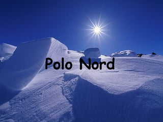  Polo Nord
 