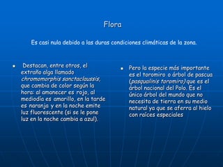 Flora
 Destacan, entre otros, el
extraño alga llamado
chromomorphis sanctaclaussis,
que cambia de color según la
hora: al amanecer es rojo, al
mediodía es amarillo, en la tarde
es naranja y en la noche emite
luz fluorescente (si se le pone
luz en la noche cambia a azul).
 Pero la especie más importante
es el toromiro o árbol de pascua
(pasqualinis toromiro) que es el
árbol nacional del Polo. Es el
único árbol del mundo que no
necesita de tierra en su medio
natural ya que se aferra al hielo
con raíces especiales
Es casi nula debido a las duras condiciones climáticas de la zona.
 