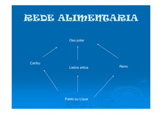 REDE ALIMENTARIAREDE ALIMENTARIA
Oso polar
Liebre artica
Pasto ou Lique
Reno
Caribu
 