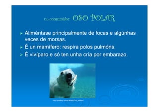 UnUn consumidorconsumidor:: OSO POLAROSO POLAR
AliméntaseAliméntase principalmente de focas eprincipalmente de focas e algúnhasalgúnhas
veces de morsas.veces de morsas.
É unÉ un mamífero: respiramamífero: respira polospolos pulmónspulmóns..
É vivíparo eÉ vivíparo e sósó tenten unhaunha cría por embarazo.cría por embarazo.É vivíparo eÉ vivíparo e sósó tenten unhaunha cría por embarazo.cría por embarazo.
http://pixabay.com/p-96960/?no_redirect
 