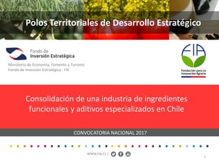 Polos Territoriales de Desarrollo Estratégico
WWW.FIA.CL |
Consolidación de una industria de ingredientes
funcionales y aditivos especializados en Chile
Ministerio de Economía, Fomento y Turismo
Fondo de Inversión Estratégica - FIE
CONVOCATORIA NACIONAL 2017
1
 