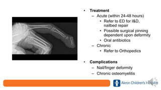 • Treatment
– Acute (within 24-48 hours)
• Refer to ED for I&D,
nailbed repair
• Possible surgical pinning
dependent upon deformity
• Oral antibiotics
– Chronic
• Refer to Orthopedics
• Complications
– Nail/finger deformity
– Chronic osteomyelitis
 