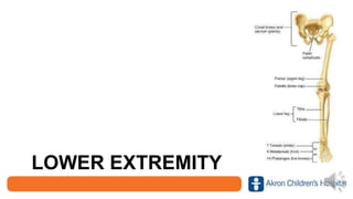 LOWER EXTREMITY
 