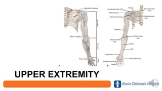 UPPER EXTREMITY
 
