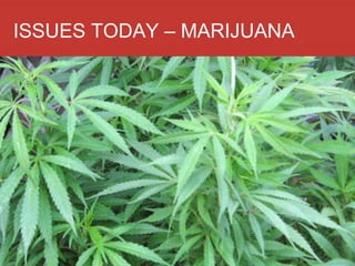 ISSUES TODAY – MARIJUANA
 