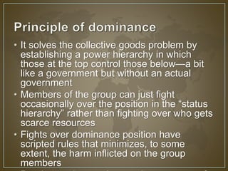 • It solves the collective goods problem by 
establishing a power hierarchy in which 
those at the top control those below—a bit 
like a government but without an actual 
government 
• Members of the group can just fight 
occasionally over the position in the “status 
hierarchy” rather than fighting over who gets 
scarce resources 
• Fights over dominance position have 
scripted rules that minimizes, to some 
extent, the harm inflicted on the group 
members 
• Dominance is complex, not just a matter of 
 