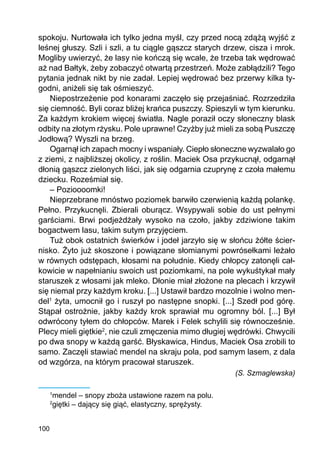 100
spokoju. Nurtowała ich tylko jedna myśl, czy przed nocą zdążą wyjść z
leśnej głuszy. Szli i szli, a tu ciągle gąszcz starych drzew, cisza i mrok.
Mogliby uwierzyć, że lasy nie kończą się wcale, że trzeba tak wędrować
aż nad Bałtyk, żeby zobaczyć otwartą przestrzeń. Może zabłądzili? Tego
pytania jednak nikt by nie zadał. Lepiej wędrować bez przerwy kilka ty-
godni, aniżeli się tak ośmieszyć.
Niepostrzeżenie pod konarami zaczęło się przejaśniać. Rozrzedziła
się ciemność. Byli coraz bliżej krańca puszczy. Spieszyli w tym kierunku.
Za każdym krokiem więcej światła. Nagle poraził oczy słoneczny blask
odbity na złotym rżysku. Pole uprawne! Czyżby już mieli za sobą Puszczę
Jodłową? Wyszli na brzeg.
Ogarnął ich zapach mocny i wspaniały. Ciepło słoneczne wyzwalało go
z ziemi, z najbliższej okolicy, z roślin. Maciek Osa przykucnął, odgarnął
dłonią gąszcz zielonych liści, jak się odgarnia czuprynę z czoła małemu
dziecku. Roześmiał się.
– Pozioooomki!
Nieprzebrane mnóstwo poziomek barwiło czerwienią każdą polankę.
Pełno. Przykucnęli. Zbierali oburącz. Wsypywali sobie do ust pełnymi
garściami. Brwi podjeżdżały wysoko na czoło, jakby zdziwione takim
bogactwem lasu, takim sutym przyjęciem.
Tuż obok ostatnich świerków i jodeł jarzyło się w słońcu żółte ścier-
nisko. Żyto już skoszone i powiązane słomianymi powrósełkami leżało
w równych odstępach, kłosami na południe. Kiedy chłopcy zatonęli cał-
kowicie w napełnianiu swoich ust poziomkami, na pole wykuśtykał mały
staruszek z włosami jak mleko. Dłonie miał złożone na plecach i krzywił
się niemal przy każdym kroku. [...] Ustawił bardzo mozolnie i wolno men-
del1
żyta, umocnił go i ruszył po następne snopki. [...] Szedł pod górę.
Stąpał ostrożnie, jakby każdy krok sprawiał mu ogromny ból. [...] Był
odwrócony tyłem do chłopców. Marek i Felek schylili się równocześnie.
Plecy mieli giętkie2
, nie czuli zmęczenia mimo długiej wędrówki. Chwycili
po dwa snopy w każdą garść. Błyskawica, Hindus, Maciek Osa zrobili to
samo. Zaczęli stawiać mendel na skraju pola, pod samym lasem, z dala
od wzgórza, na którym pracował staruszek.
(S. Szmaglewska)
1
mendel – snopy zboża ustawione razem na polu.
2
giętki – dający się giąć, elastyczny, sprężysty.
 