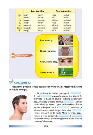125
Lm. żywotne Lm. neżywotne
M.
D.
C.
B.
N.
Msc.
W.
oczy
oczu
oczom
oczy
oczami
oczach
oczy!
uszy
uszu
uszom
uszy
uszami
uszach
uszy!
oka
ok
okom
oka
okami
okach
oka!
ucha
uch
uchom
ucha
uchami
uchach
ucha!
Pies ma uszy.
Dzban ma ucha.
Człowiek ma oczy.
Siatka ma oka.
ĆWICZENIE 12
Uzupełnij podane teksty odpowiednimi formami rzeczownika ucho
w liczbie mnogiej.
W zimie często bardzo marzną mi .
Z tymi to w ogóle zawsze jest kłopot. Po
pierwsze – odstają. Po drugie – gdy się czegoś wsty-
dzę, wystarczy spojrzeć na moje . Zawsze
mnie zdradzają swoim ognistym kolorkiem. Staram
się nie pokazywać swoich i zasłaniam je
włosami. Mama mówi, żebym dał spokój
i lepiej przyłożył się do nauki. Ale ja nie mogę zapo-
mnieć o tych okropnych !
moje utrapienie, czy nie mogłybyście trochę bardziej
przylegać do głowy.
 