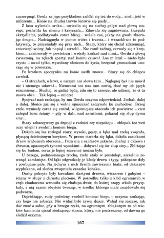 167
zaczerpnąć. Gerda za jego przykładem zwlókł się też do wody... siedli jeść w
milczeniu... Konie na chudej trawie leniwie się pasły...
Z lasu wyleciała sroka... uwiesiła się na suchej gałęzi nad głową sta-
rego, pochyliła ku niemu i krzyczała... Zdawała się zagniewana, trzepała
skrzydłami, podlatywała coraz bliżej... wołała coś, jakby na gwałt zbiera-
jąc drugie... Nadciągnęła w pomoc wtóra i trzecia... i wrzaskliwie to pod-
latywały, to przysiadały się przy nich... Stary, który się chciał zdrzemnąć,
zniecierpliwiony, łuk napiął i strzelił... Nie ranił żadnej, zerwały się z krzy-
kiem... zawirowały w powietrzu i wróciły krakać nad nimi... Gerda z głową
zwieszoną, na rękach sparty, nad końmi czuwał. Las milczał – niebo było
czyste – owad tylko, wywołany słońcem do życia, brzęczał gromadami uno-
sząc się w powietrzu.
Po krótkim spoczynku na konie siedli znowu... Stary się do chłopca
zwrócił.
– O strzałach, o krwi, o niczym ani słowa tam... Najlepiej byś nie mówił
nic i niemego udawał... Niemcami oni nas tam zowią, choć my ich język
rozumiemy... Słuchaj, co gadać będą, zda się to zawsze, ale udawaj, że ci ta
mowa obca... Tak lepiej – milczeć.
Spojrzał nań czekając, by mu Gerda oczyma odpowiedział. Jechali dalej
a dalej. Słońce już się z wolna spuszczać zaczynało ku zachodowi. Brzeg
rzeki wyniosły coraz się zniżał, wilgotniejsze otaczało ich powietrze – cień
zalegał boru ściany – gdy w dali, nad zaroślami, pokazał się słup dymu
siny...
Stary zobaczywszy go drgnął z radości czy niepokoju – chłopak też weń
oczy wlepił i zwolnili koniom biegu.
Dokoła się las rozlegał stary, wysoki, gęsty, a łąka nad rzeką zwężała,
płynącą ścieśnionym korytem. W prawo otwarła się łąka, dokoła zasiekami
drzew zrąbanych otoczona... Poza nią z szałasów jakichś, chałup z drzewa i
chrustu, opasanych tynami wysokimi – dobywał się ów słup siny... Zbliżając
się ku budom, coraz je lepiej rozeznać można było.
U brzegu, podniesionego trochę, rzeki stały w prostokąt, szczelnie ze-
wsząd zamknięte. Od łąki odgradzały je kłody drzew i typy, pokopane doły
i powbijane pale. Na jednym z nich tkwiła zawieszona biała, od deszczów
wypłukana, od słońca zwapniała czaszka końska.
Dachy pokryte były kawałami dartymi drzewa, wiszarem i gałęźmi –
ściany w słupy z chrustu plecione. W pośrodku tylko z kłód ogromnych w
zrąb zbudowana wznosiła się chałupa-dwór, do której szopy wkoło przyty-
kały, z nią razem obejście tworząc, w środku którego małe znajdowało się
podwórze.
Dojeżdżając, rudy podróżny zwolnił koniowi biegu – oczyma szukając,
czy kogo nie zobaczy. Nie widać było żywej duszy. Wahał się jeszcze, jak
dać znać o sobie, gdy u brzegu rzeki, na ogromnym, zbłąkanym tu od wie-
ków kamieniu ujrzał siedzącego starca, który, nie postrzeżony, od dawna go
śledził oczyma.
 
