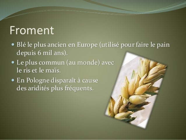 les plantes et les animaux polonais