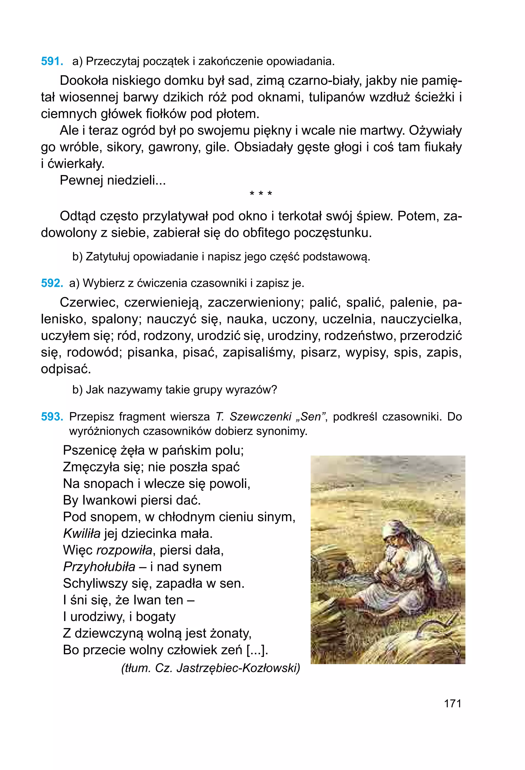 171
591.	 a) Przeczytaj początek i zakończenie opowiadania.
Dookoła niskiego domku był sad, zimą czarno-biały, jakby nie pamię-
tał wiosennej barwy dzikich róż pod oknami, tulipanów wzdłuż ścieżki i
ciemnych główek fiołków pod płotem.
Ale i teraz ogród był po swojemu piękny i wcale nie martwy. Ożywiały
go wróble, sikory, gawrony, gile. Obsiadały gęste głogi i coś tam fiukały
i ćwierkały.
Pewnej niedzieli...
* * *
Odtąd często przylatywał pod okno i terkotał swój śpiew. Potem, za-
dowolony z siebie, zabierał się do obfitego poczęstunku.
b) Zatytułuj opowiadanie i napisz jego część podstawową.
592.	 a) Wybierz z ćwiczenia czasowniki i zapisz je.
Czerwiec, czerwienieją, zaczerwieniony; palić, spalić, palenie, pa-
lenisko, spalony; nauczyć się, nauka, uczony, uczelnia, nauczycielka,
uczyłem się; ród, rodzony, urodzić się, urodziny, rodzeństwo, przerodzić
się, rodowód; pisanka, pisać, zapisaliśmy, pisarz, wypisy, spis, zapis,
odpisać.
b) Jak nazywamy takie grupy wyrazów?
593.	 Przepisz fragment wiersza T. Szewczenki „Sen”, podkreśl czasowniki. Do
wyróż­
nionych czasowników dobierz synonimy.
Pszenicę żęła w pańskim polu;
Zmęczyła się; nie poszła spać
Na snopach i wlecze się powoli,
By Iwankowi piersi dać.
Pod snopem, w chłodnym cieniu sinym,
Kwiliła jej dziecinka mała.
Więc rozpowiła, piersi dała,
Przyhołubiła – i nad synem
Schyliwszy się, zapadła w sen.
I śni się, że Iwan ten –
I urodziwy, i bogaty
Z dziewczyną wolną jest żonaty,
Bo przecie wolny człowiek zeń [...].
	 (tłum. Cz. Jastrzębiec-Kozłowski)
 