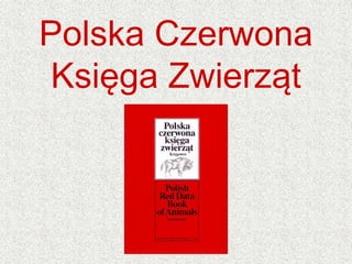 Polska Czerwona
Księga Zwierząt
 