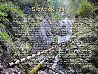 Słowacki Raj– krasowy płaskowyż o średniej wysokości od 800 do 1000 m,
będący częścią Słowackich Rudaw - Karpaty Zachodnie - położony na terenie
powiatów popradzkiego, spiskonowowiejskiego i rożniawskiego. Nazwa
została nadana w 1921 roku. Na terenie Słowackiego Raju istnieją liczne
znakowane szlaki turystyczne piesze i rowerowe. Najbardziej atrakcyjne trasy
piesze biegną dnem wspomnianych roklin, w których najtrudniejsze odcinki
pokonuje się za pomocą sztucznych ułatwień w postaci metalowych lub
drewnianych kładek, mostków i drabin (o wysokości do kilkunastu metrów).
Jedyną w swoim rodzaju atrakcję stanowi trasa biegnąca przełomem
Hornadu, w którym najwęższe odcinki pokonuje się ciągiem metalowych
półeczek, umocowanych w litej, pionowej skale kilka metrów ponad nurtem
rzeki. W południowej części Słowackiego Raju znajduje się polana Kláńtorisko
(790 m n.p.m.) z ruinami klasztoru kartuzów z końca XIII wieku oraz
schroniskiem turystycznym. Przy schronisku węzeł szlaków turystycznych.
Przed wiekami polana stanowiła schronienie dla okolicznej ludności
uciekającej przed tatarskimi ordami. Z miejscowości Dedinky (795 m n.p.m.)
na płaskowyż Geravy (1020 m n.p.m., w północnej części Słowackiego raju)
wiedzie krzesełkowa kolej linowa. W sąsiedztwie Słowackiego raju
narodowego położonych jest kilka miejscowości z interesującymi zabytkami
oraz centra turystyczne (m.in. Spiska Nowa Wieś, Hrabuńice), z których
można organizować całodzienne wyprawy do dalszych okolic z możliwością
noclegu.
 