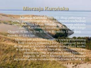 Mierzeja Kurońska to wąski, długi półwysep, w
postaci piaszczystego wału, w południowo-wschodniej
części wybrzeża Morza Bałtyckiego. Mierzeja oddziela
Zalew Kuroński od otwartego Morza Bałtyckiego
-Długość: 97 km (w tym 50 km w Republice Litewskiej)
-Szerokość: 0,4–4 km
Mierzeja jest podzielona między częścią południową
Rosji i częścią północną Litwy. Znajdują się na niej
drugie pod względem wysokości (kompleksy) wydm
w Europie. Cały obszar litewskiej części mierzei jest
administracyjnie w granicach miast Nerynga i
Kłajpeda. W 2000 r. Mierzeja Kurońska została
zapisana na liście światowego dziedzictwa UNESCO.
 