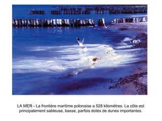 LA MER - La frontière maritime polonaise a 528 kilomètres. La côte est principalement sableuse, basse, parfois dotés de dunes importantes. 
