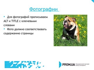Фотографии
 Для фотографий прописываем
ALT и TITLE с ключевыми
словами
 Фото должно соответствовать
содержанию страницы
 